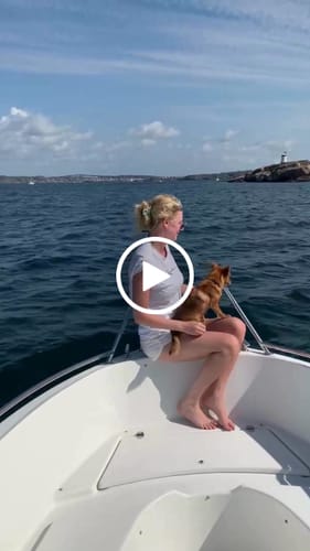 Customer video review of Omega-3 Premium