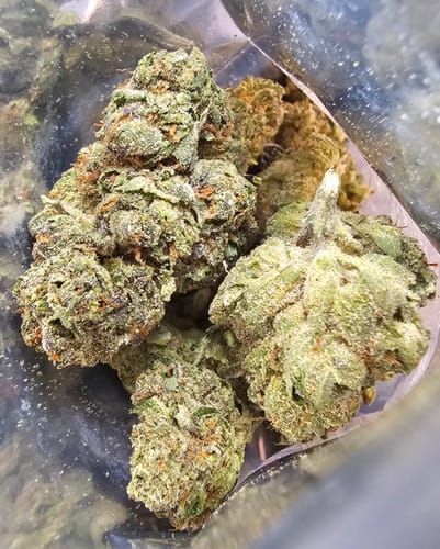 Customer photo review of Tangie THCA Flower