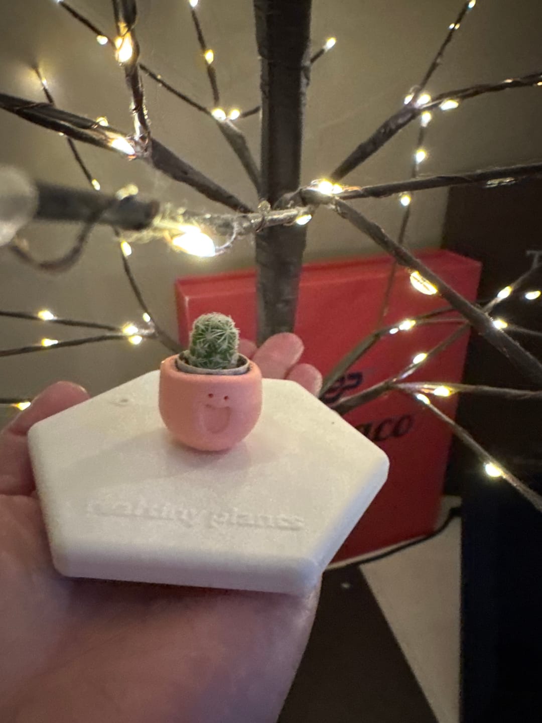 Customer photo review of LOL
