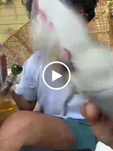 Customer video review of Shipping Protection by Route