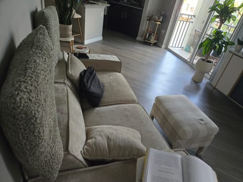 Customer photo review of M1 Sofa Loveseat