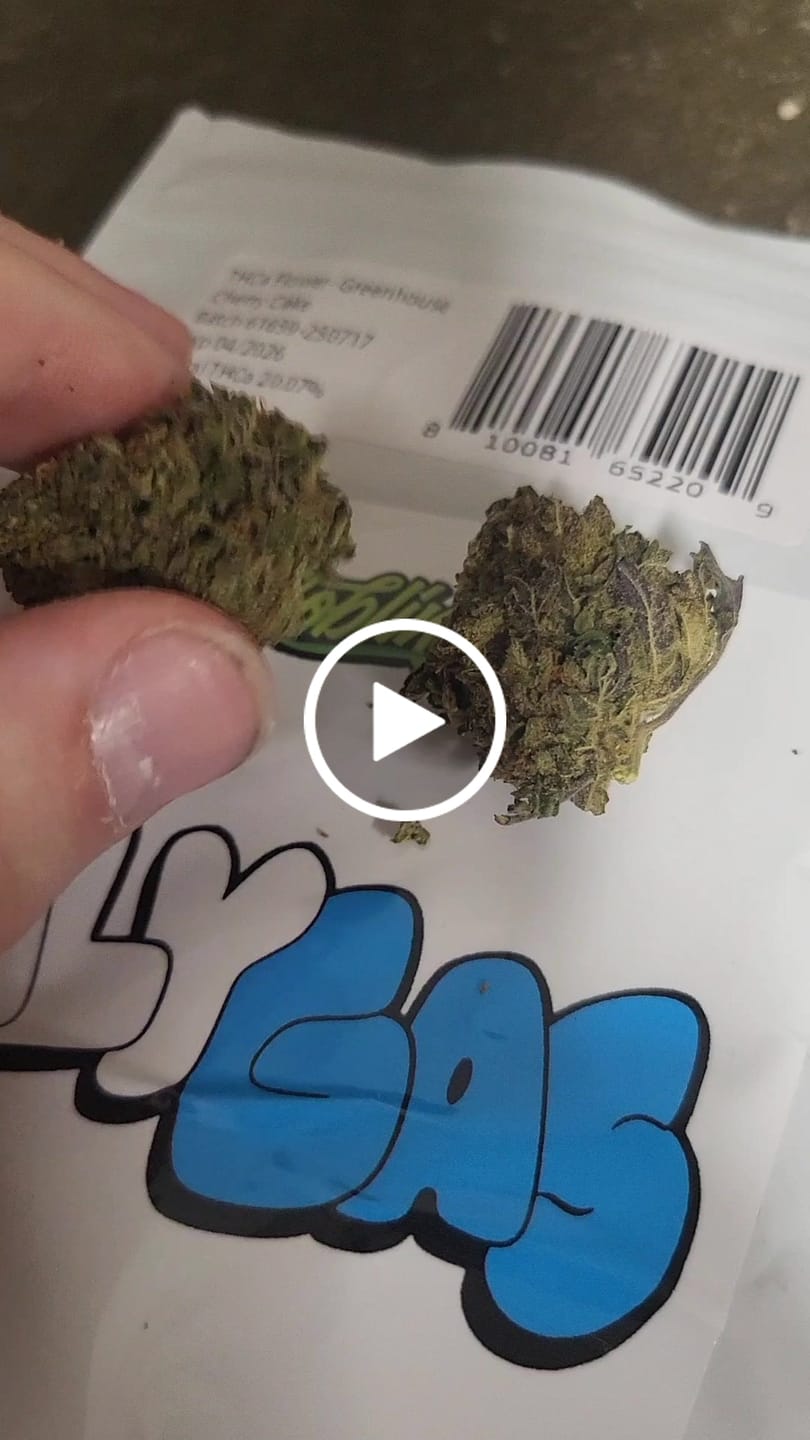 Customer video review of Greenhouse THCa Flower