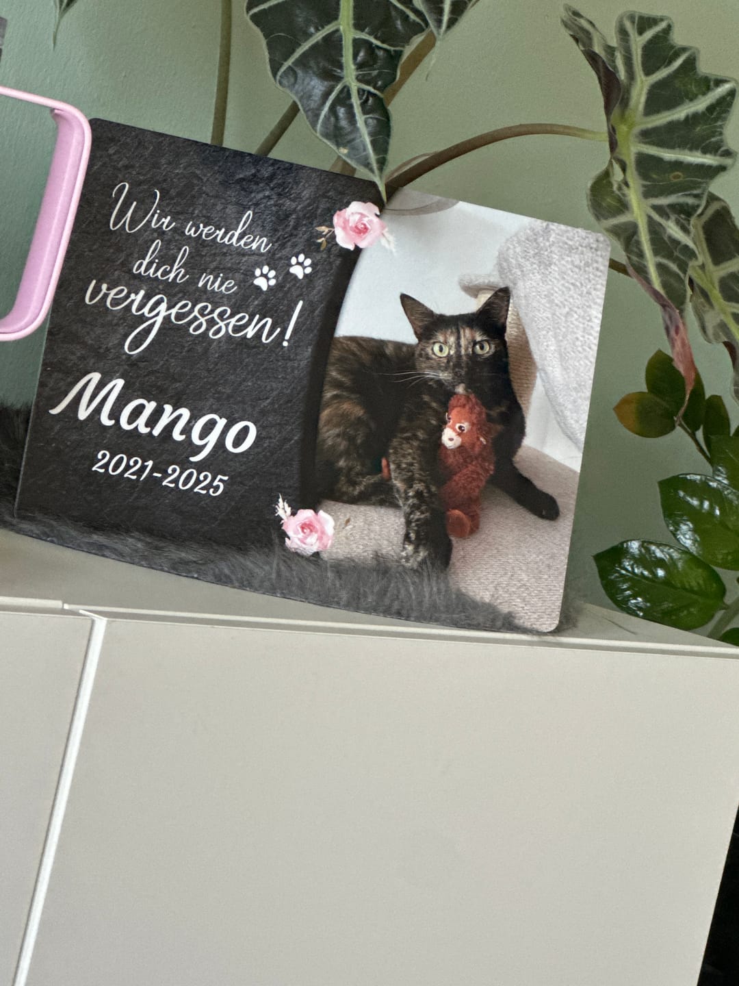 Customer photo review of Katzen Gedenktafel mit Foto & Spruch (UV- & Wetterfest)