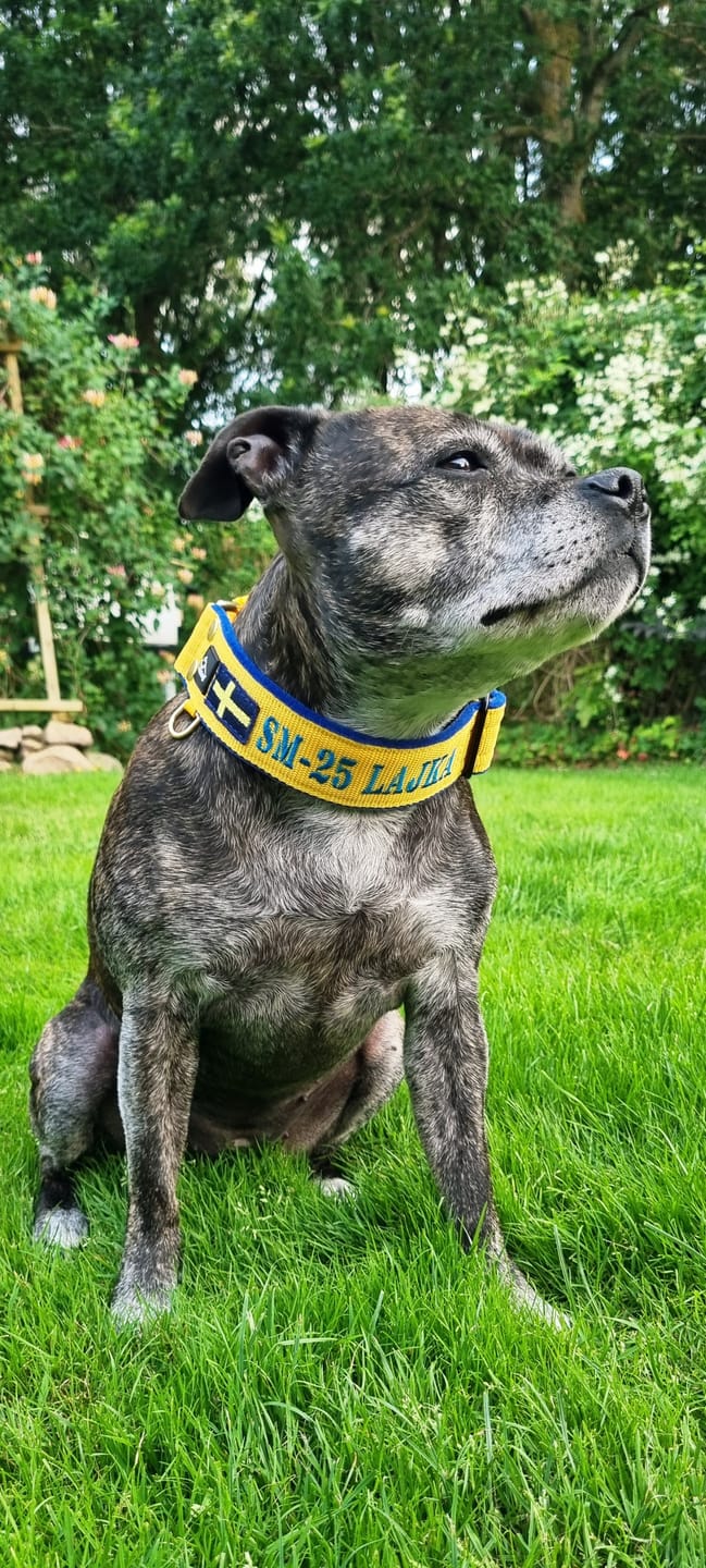 Customer photo review of Martingale halsband med namn