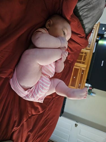 Customer photo review of The Ice Blanket