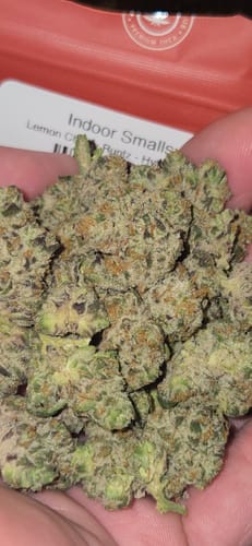 Customer photo review of Value Indoor Smalls