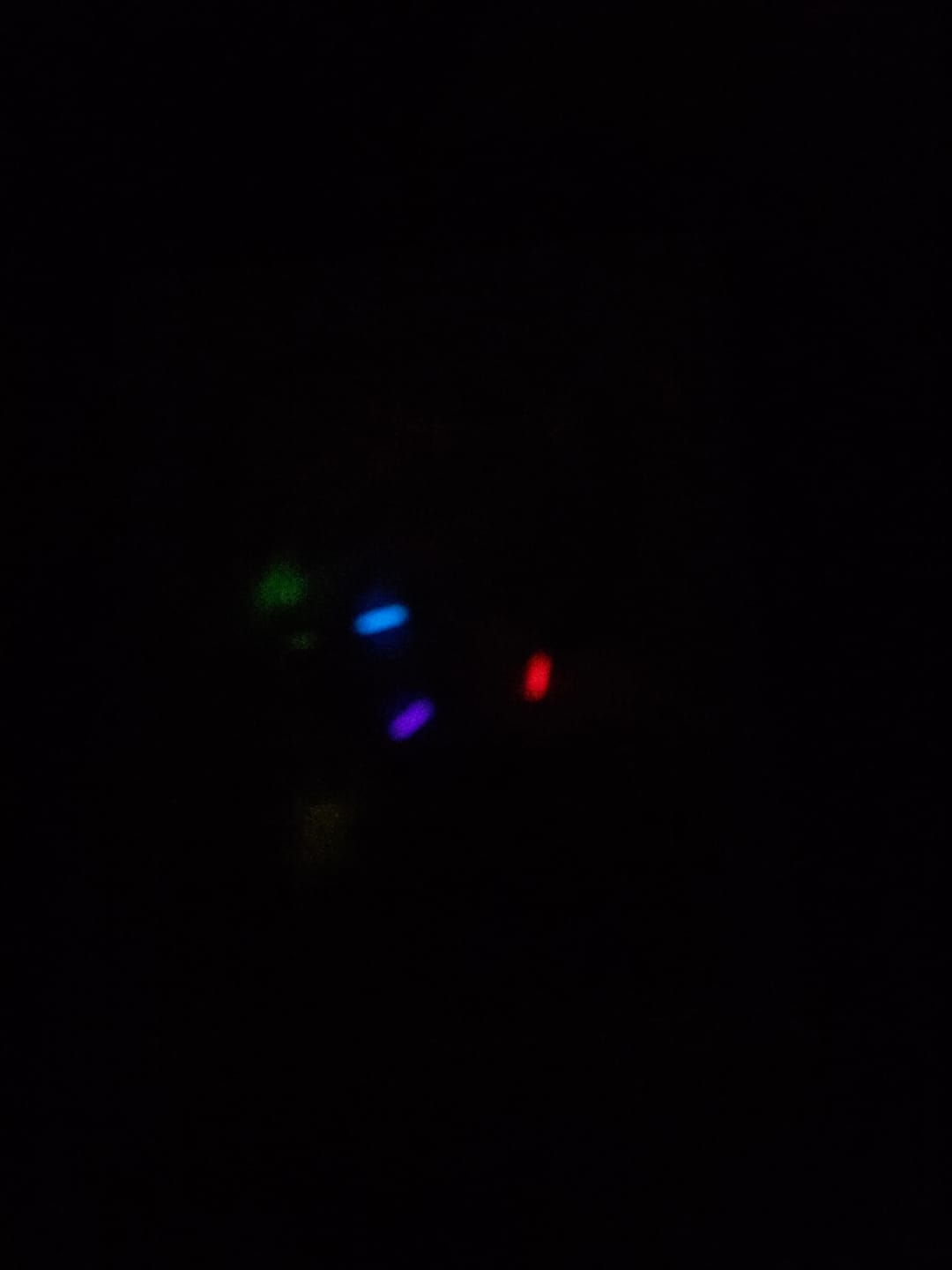 Customer photo review of The Spark