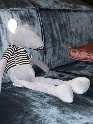 Customer photo review of HECTOR, LE RAT - GRAND