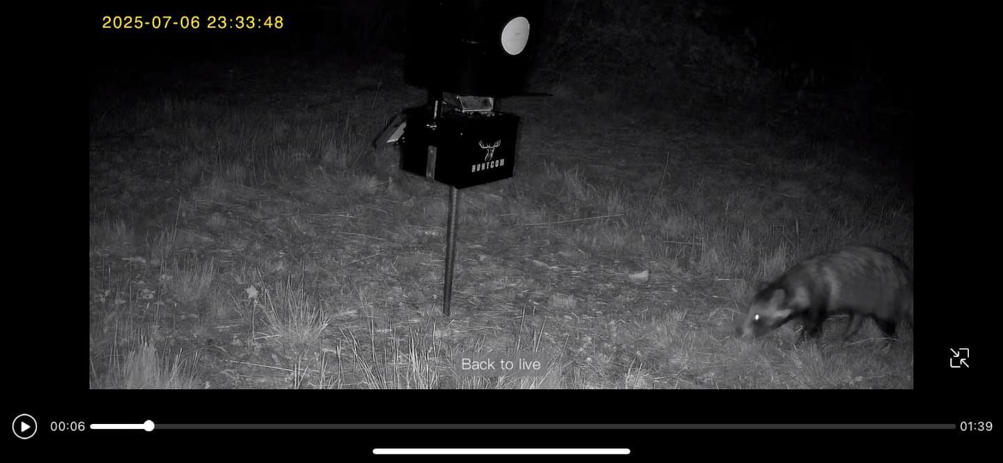 Customer photo review of Coonfeeder