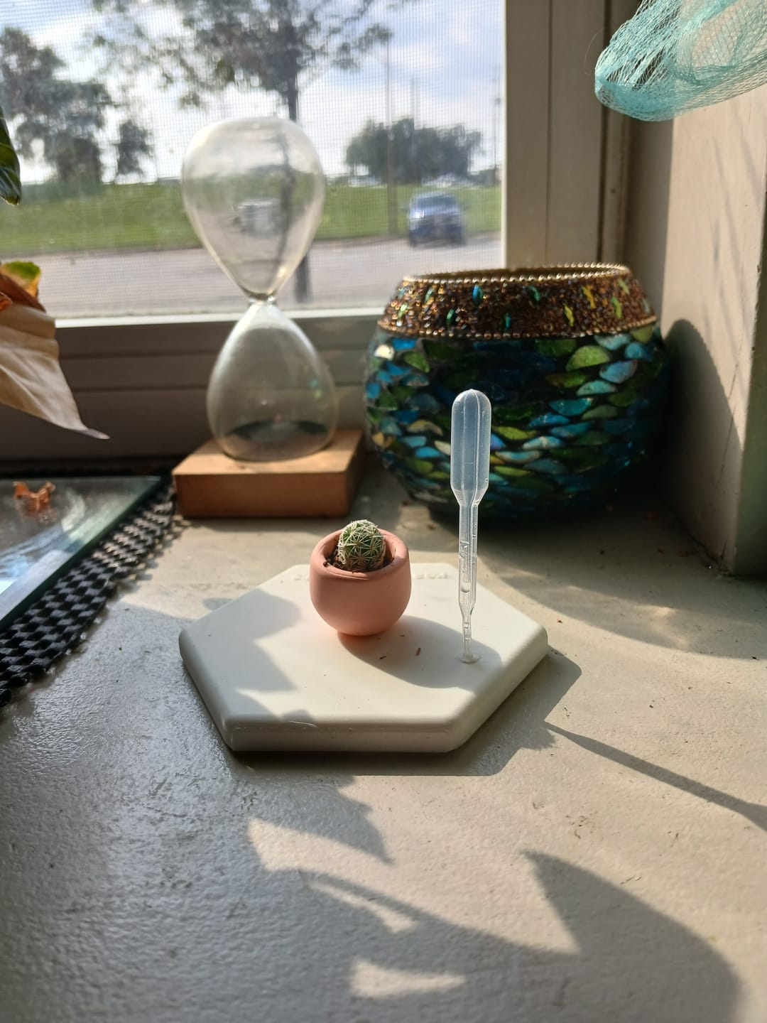 Customer photo review of LOL