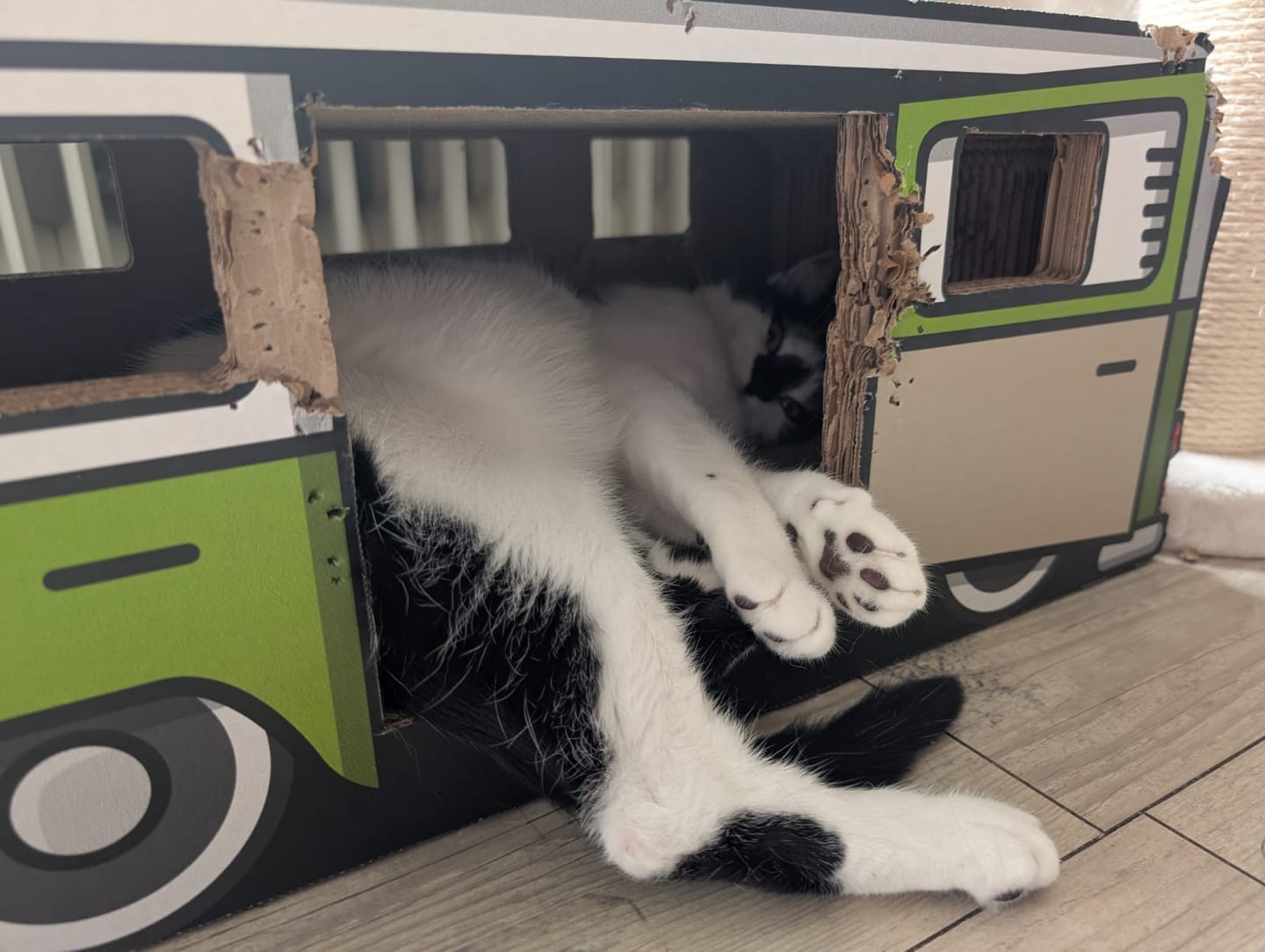 Customer photo review of KratzCamper