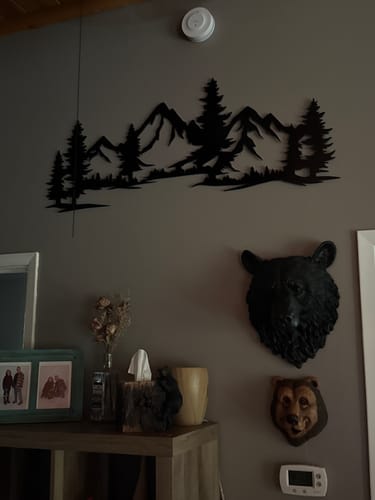 Customer photo review of Evergreen Peaks Wall Art