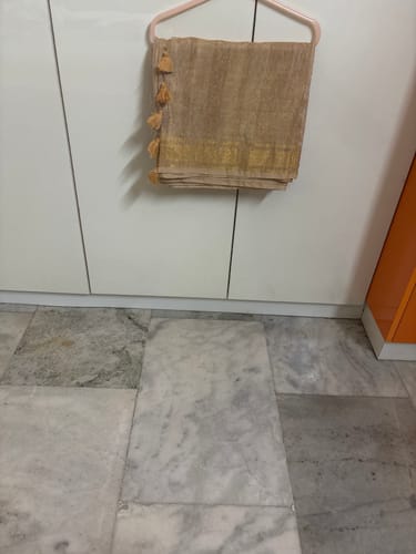 Customer photo review of Smashing Tissue Linen Saree