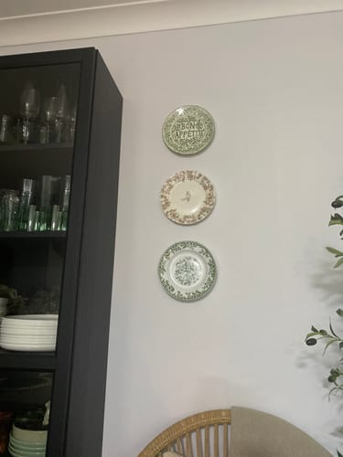 Customer photo review of Green Bon Appetit Starter Plate