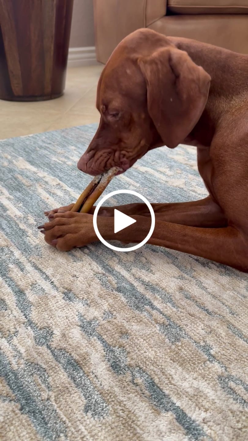 Customer video review of 1 LB Chew Pack