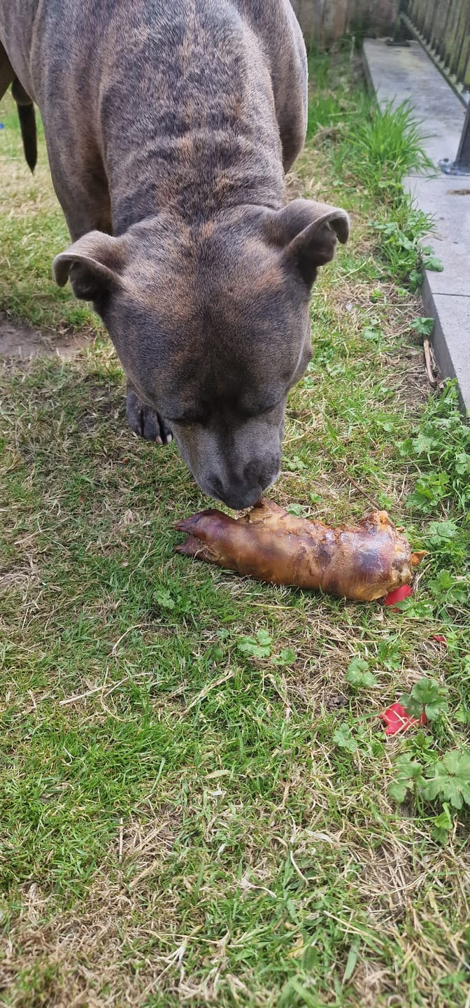 Customer photo review of Pigs Feet - 2pcs