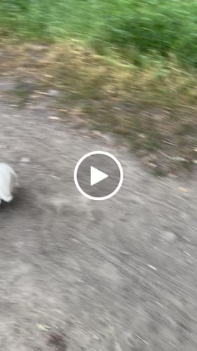 Customer video review of Forever Young