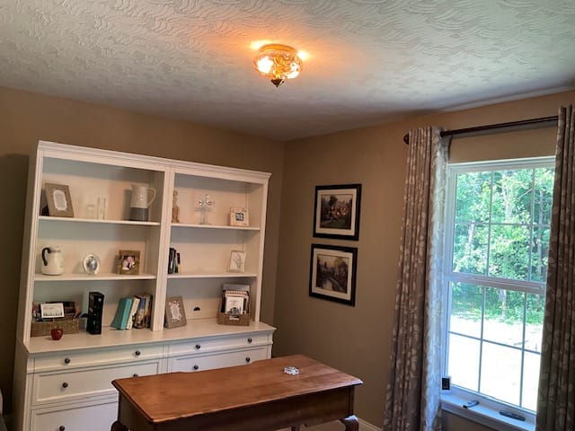 Customer photo review of 2-light Hammered Glass Flush Mount Ceiling Light