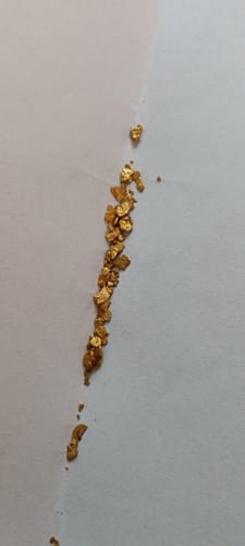 Customer photo review of Aussie Pay dirt