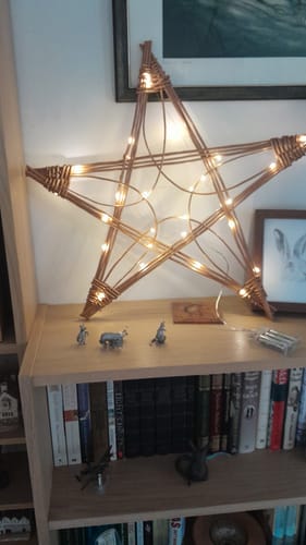 Customer photo review of Getting Started with Willow - Course and Kit