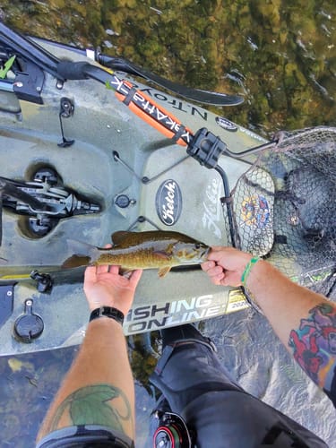 Customer photo review of Fishing Online Logo Decal / Sticker