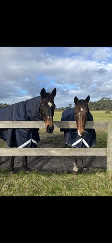 Customer photo review of LE Boxter Turnout Ripstop 200g