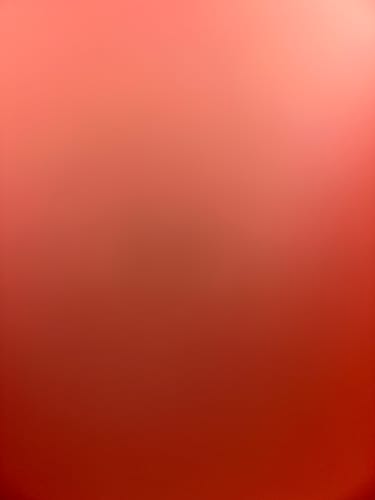 Customer photo review of Lovemère Seamless Nursing Bra