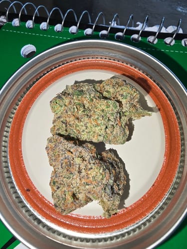 Customer photo review of 9LB Hammer