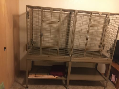 Customer photo review of Kings Cages SLF 6421 Bird Flight Cage 65X21X62