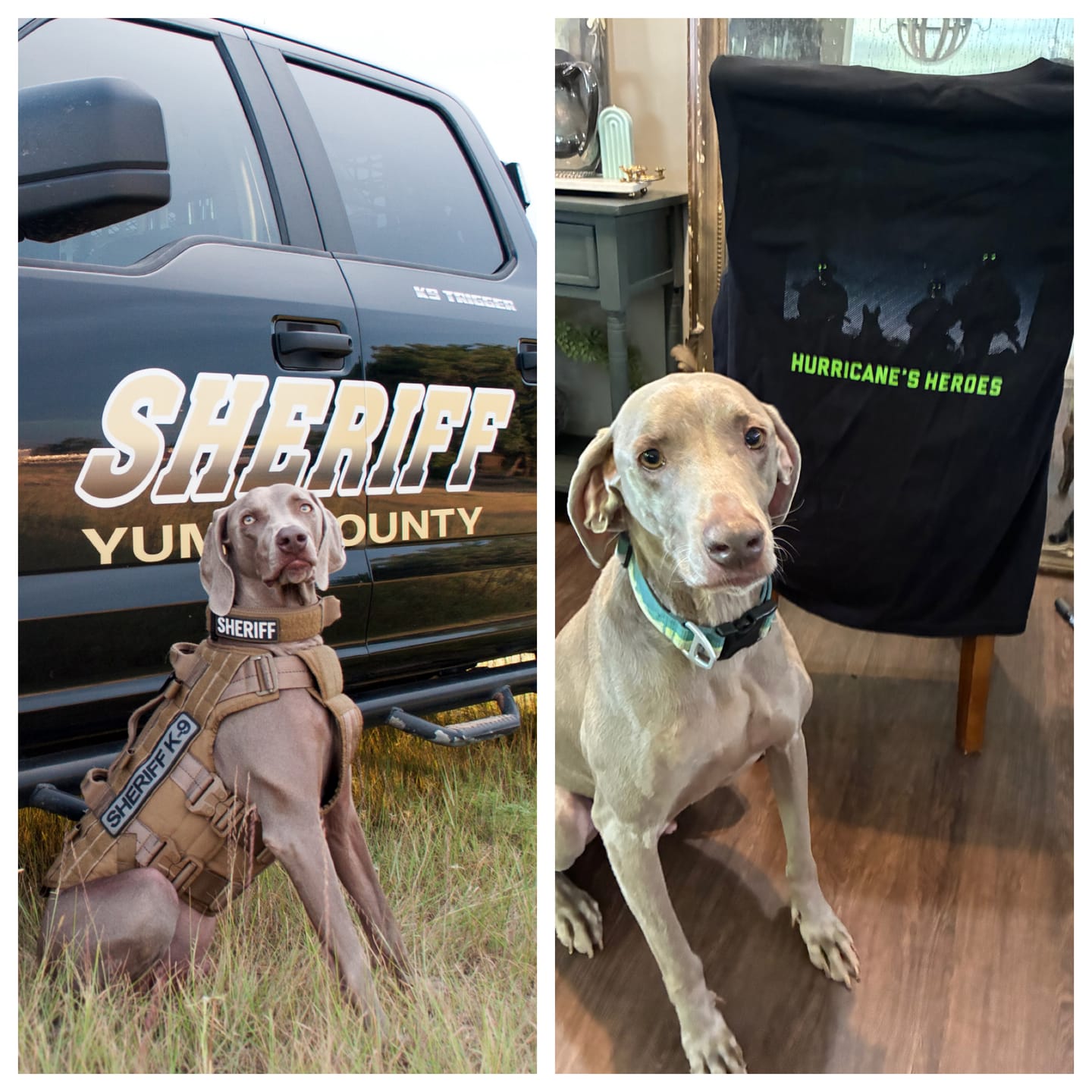 Customer photo review of HH NVG Shirt