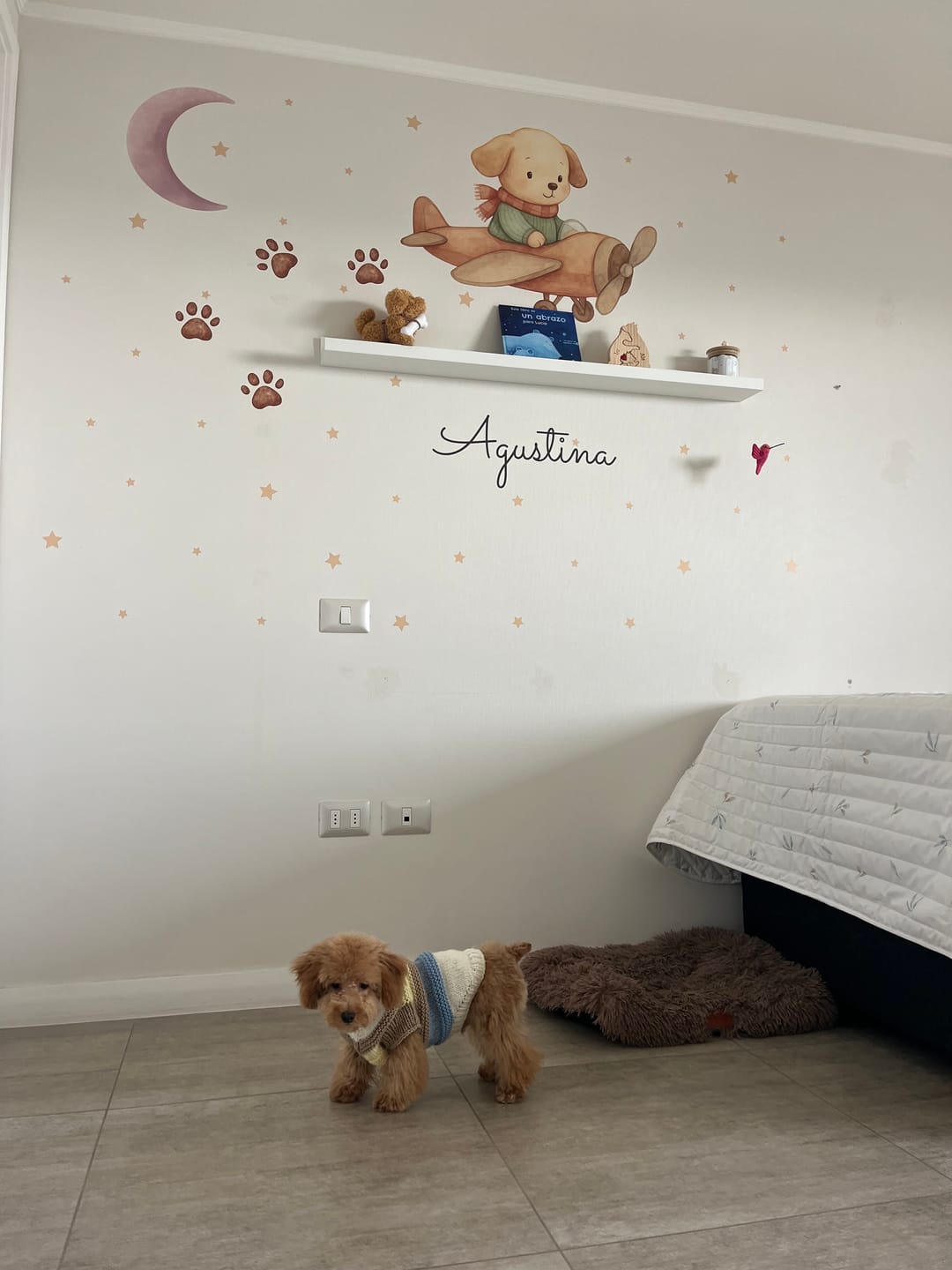 Customer photo review of Perrito aviador (Border Collie)