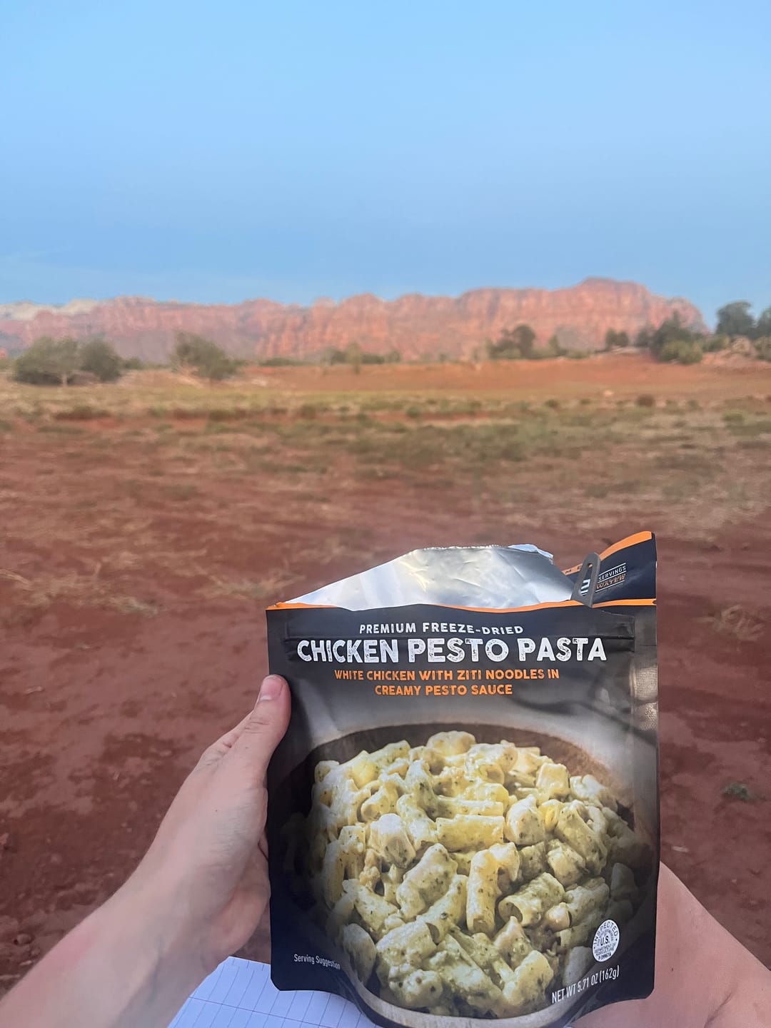 Customer photo review of Chicken Pesto Pasta