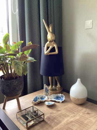 Customer photo review of Sinaasappel - 100% Etherische Olie - 5, 10 en 50 ml