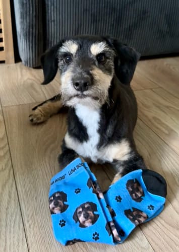 undefined review of Personalisierte Socken mit deinem Haustier image 1 out of 1