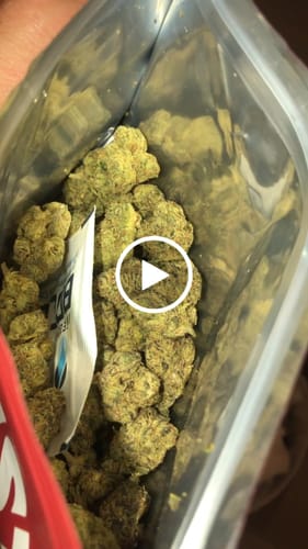 Customer video review of Pink Panties