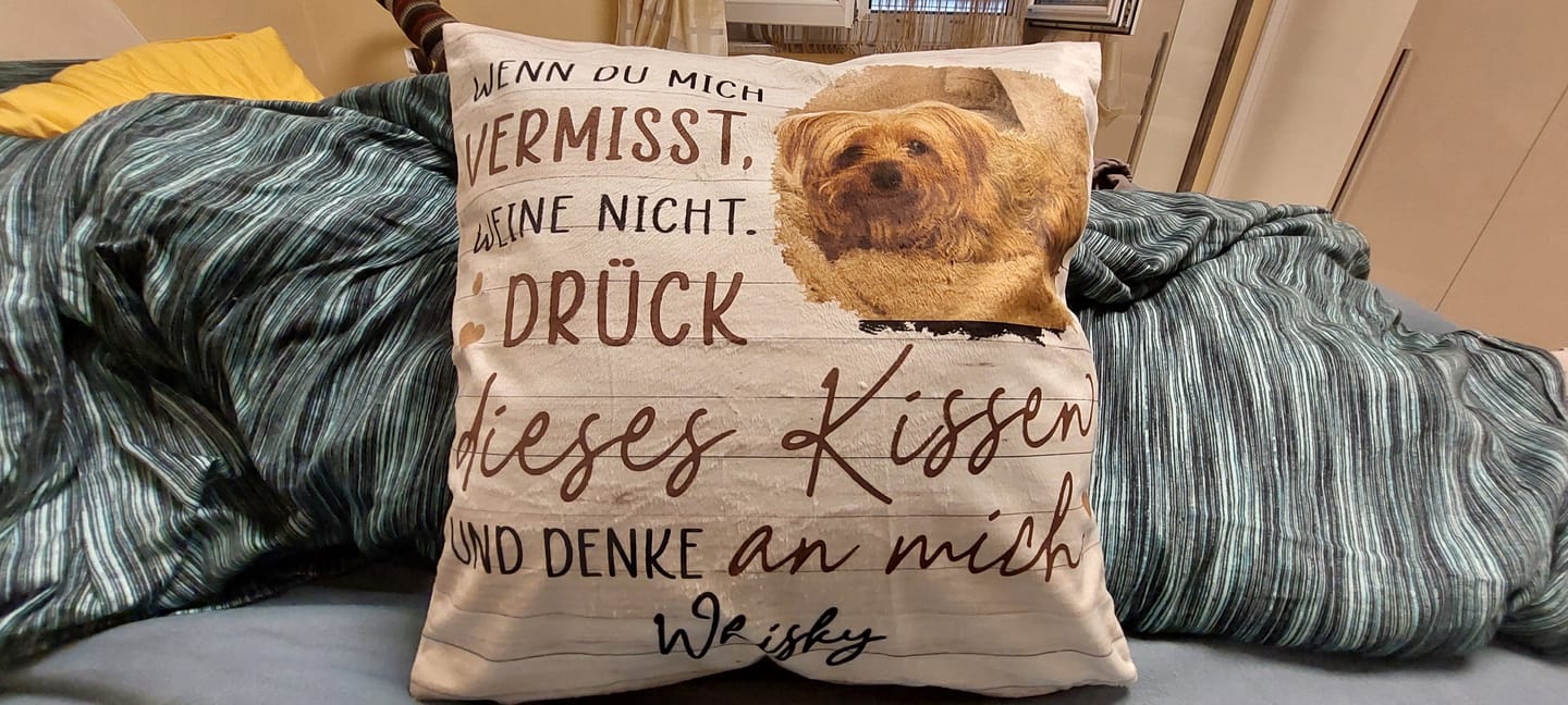 Customer photo review of Immer bei dir - Familien-Kissen