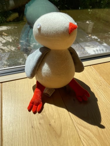 Customer photo review of JOSETTE, LA MOUETTE