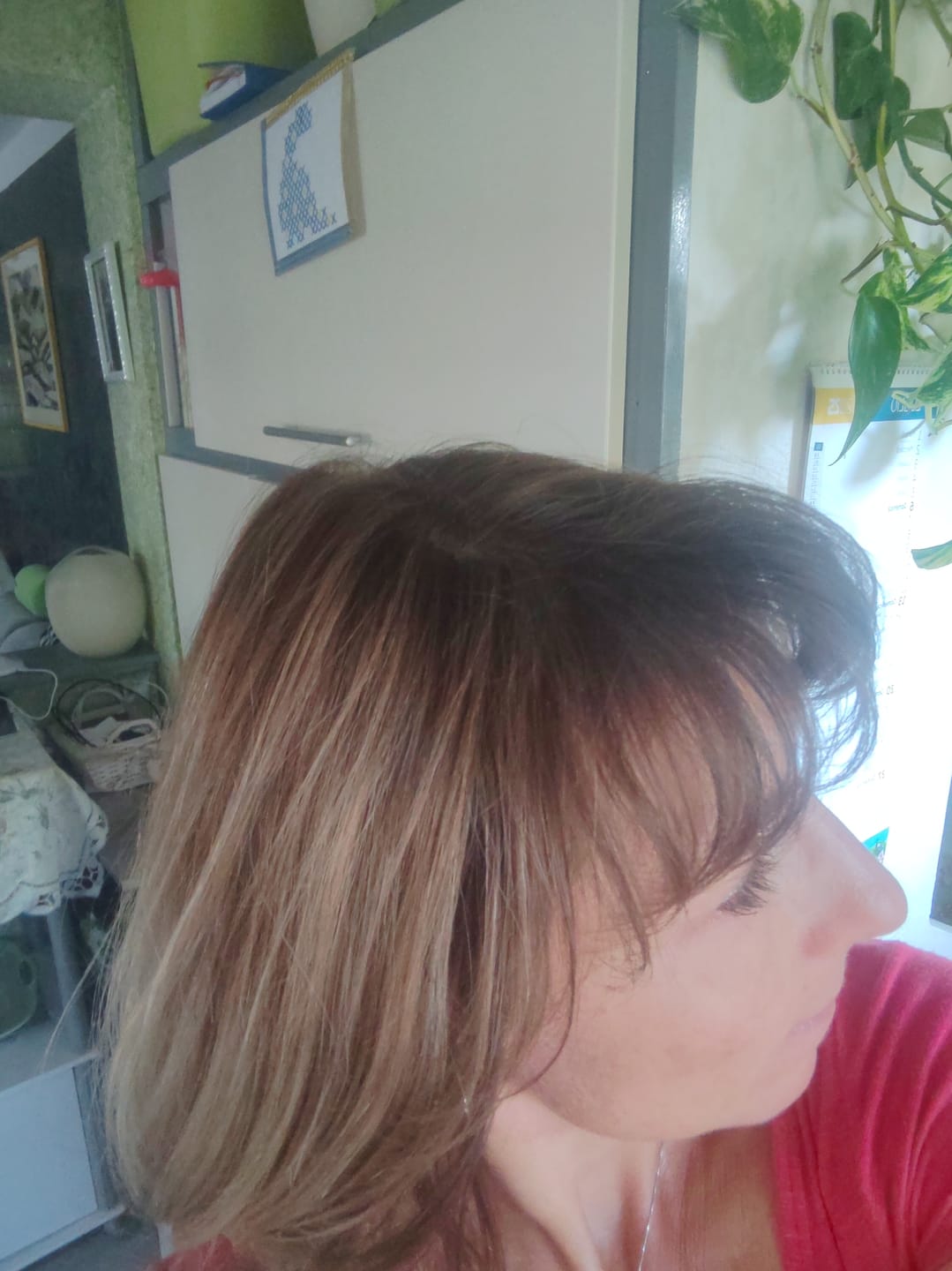 Customer photo review of BIONDO 7N + LAPPONIA