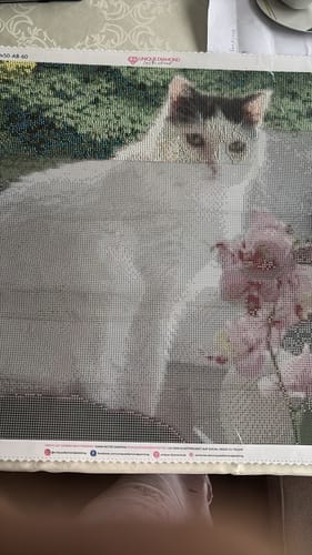 Customer photo review of Diamond Painting Eigenes Bild