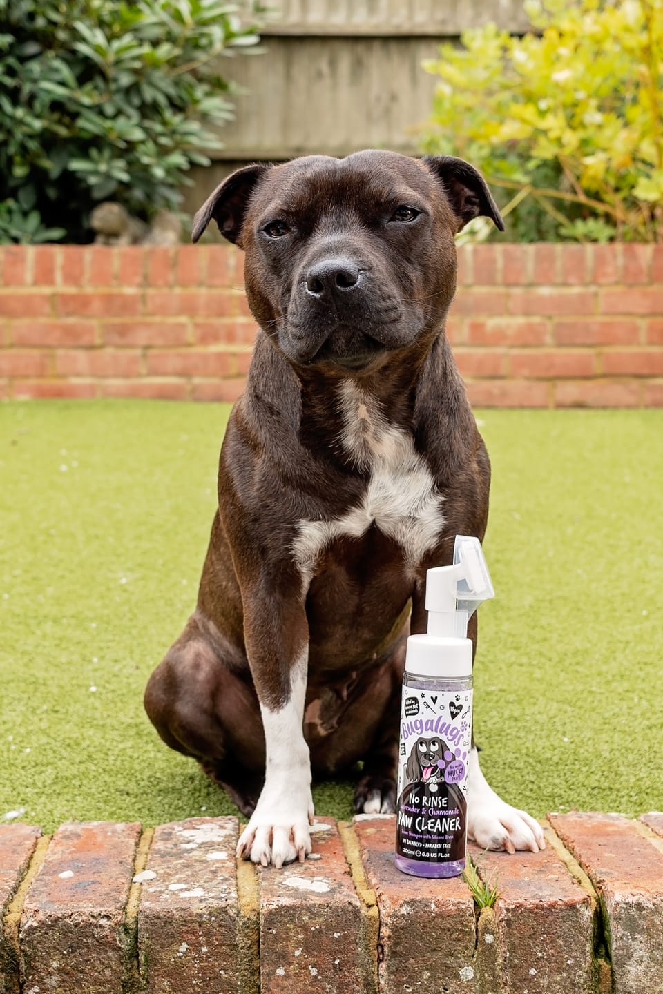 Customer photo review of Lavender & Chamomile No Rinse Paw Cleaner for Dogs & Cats