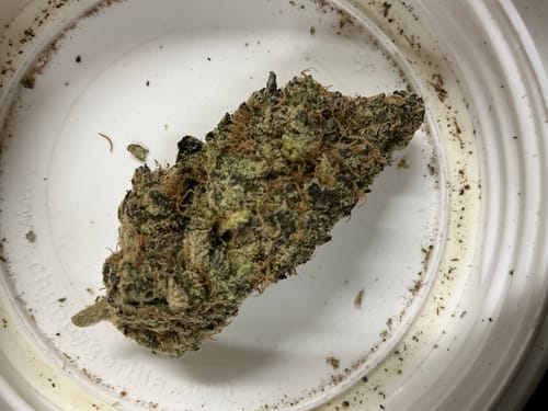 Customer photo review of Thin Mint Cookies - 28 Grams - Hybrid