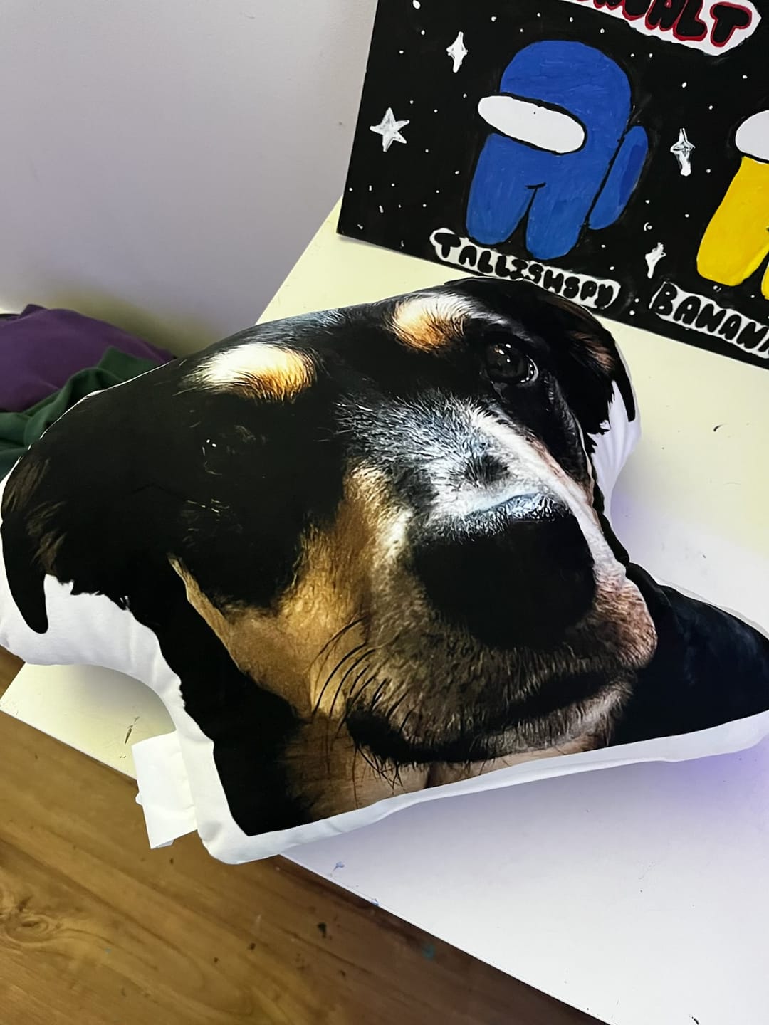 Customer photo review of Custom Pet Face Shaped Pillow from Your Pet Photos, Customized Pet Head Pillows