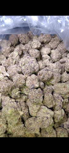 Customer photo review of Gorilla Glue Greenhouse THCA