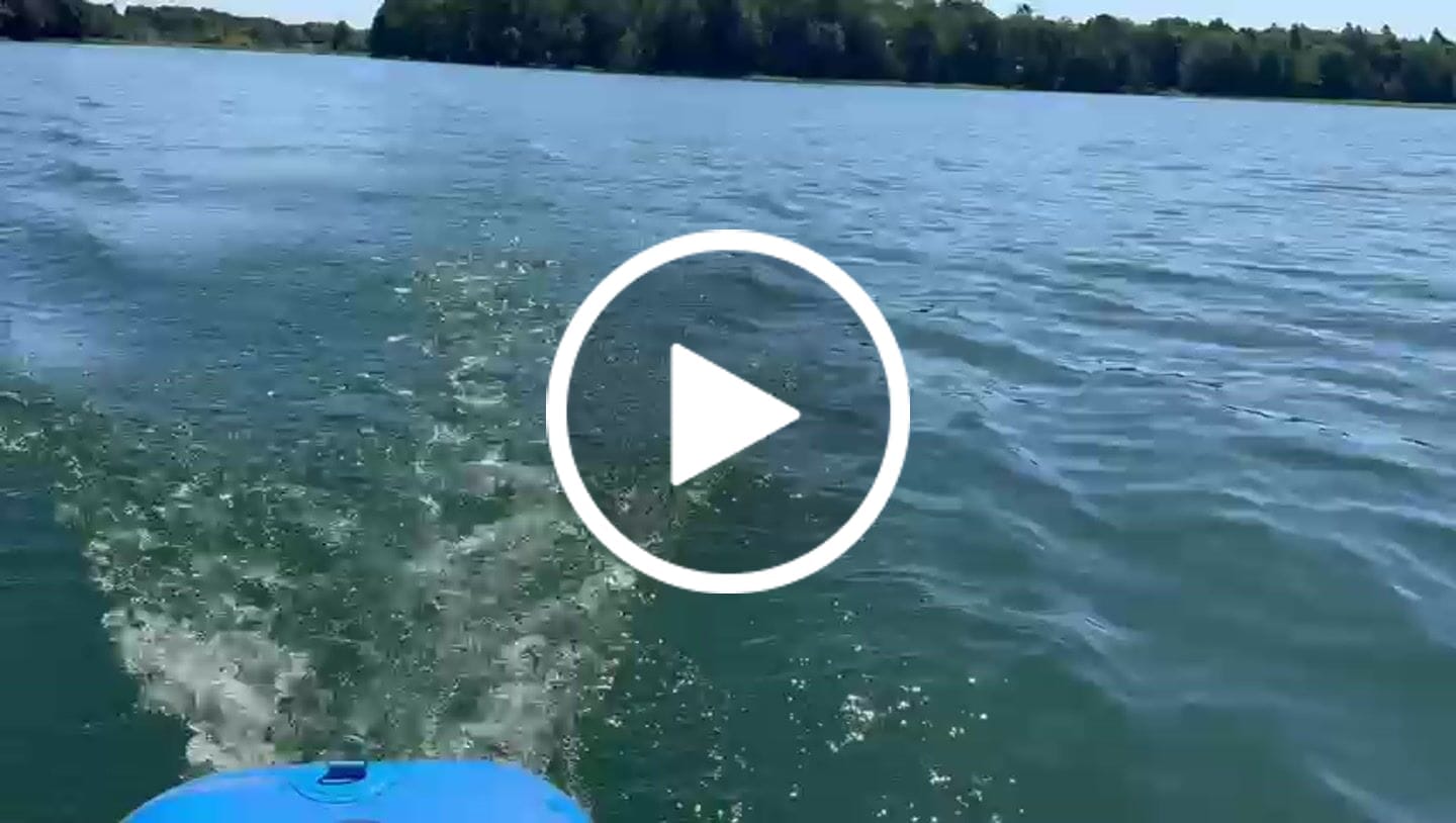 Customer video review of SKINHAWK SUP und Kajak Elektromotor 700W