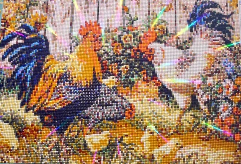 Customer photo review of Chickens - Premium Diamond Painting Kit