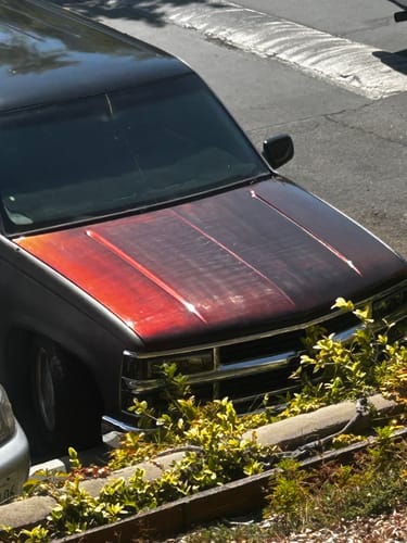 Customer photo review of Pitch Black Spray Can Midcoat