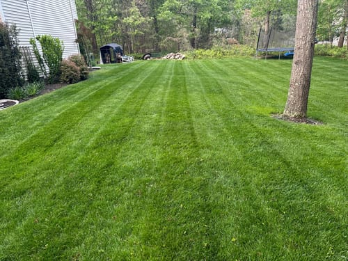 Customer photo review of Imidacloprid 2F