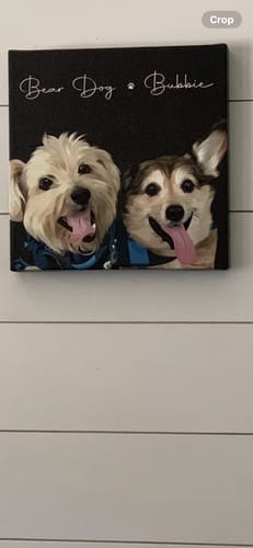 Customer photo review of Pet Art Canvas Wrap