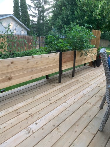 Customer photo review of 18" x 60" Raised Garden Bed - 30" TALL