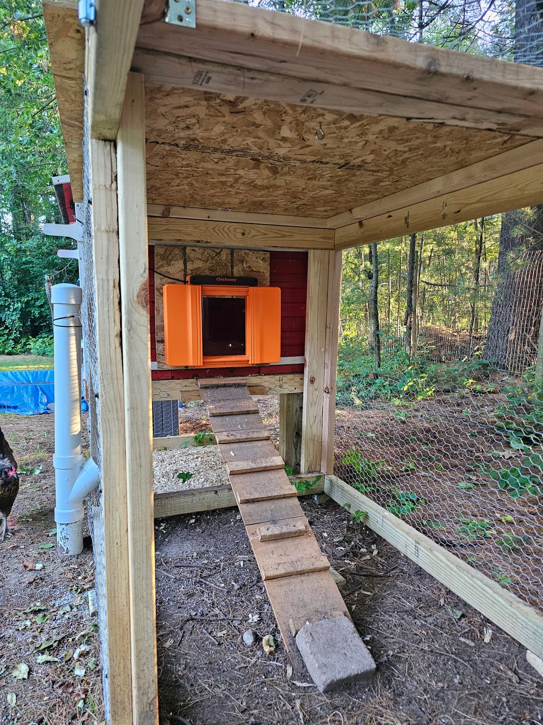 Customer photo review of Solar Automatic Chicken Coop Door